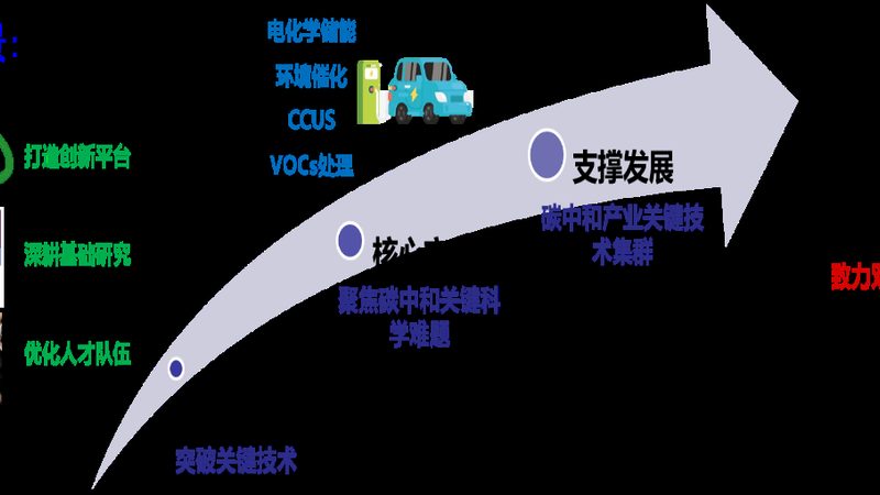 宠物零食防腐剂：如何选择安全可靠的十大品牌**