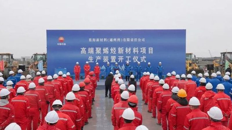 精细化工产品进出口贸易，揭秘行业佼佼者