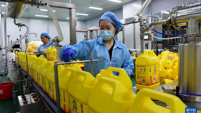 无机化工原料选材：广东市场的关键考量**